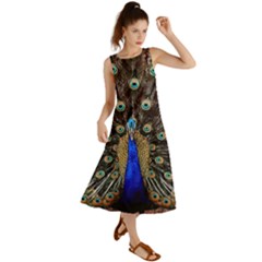 Peacock Summer Maxi Dress by Ket1n9