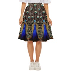 Peacock Classic Short Skirt by Ket1n9