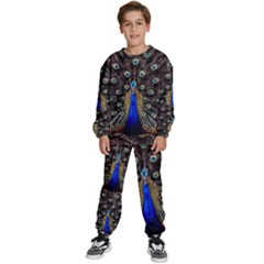 Peacock Kids  Sweatshirt Set by Ket1n9