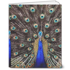 Peacock 8  X 10  Hardcover Notebook by Ket1n9