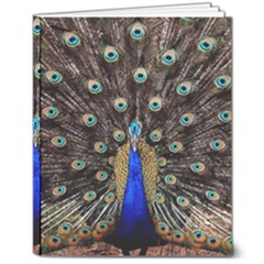 Peacock 8  X 10  Softcover Notebook by Ket1n9