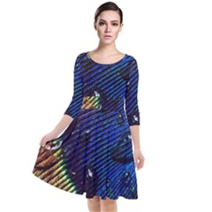 Peacock Feather Retina Mac Quarter Sleeve Waist Band Dress by Ket1n9