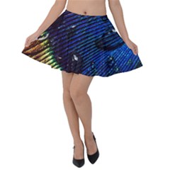 Peacock Feather Retina Mac Velvet Skater Skirt by Ket1n9