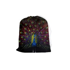 Beautiful Peacock Feather Drawstring Pouch (medium) by Ket1n9