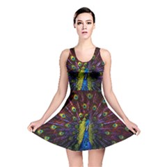 Beautiful Peacock Feather Reversible Skater Dress by Ket1n9