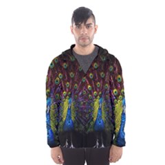 Beautiful Peacock Feather Men s Hooded Windbreaker by Ket1n9