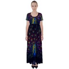 Beautiful Peacock Feather High Waist Short Sleeve Maxi Dress by Ket1n9