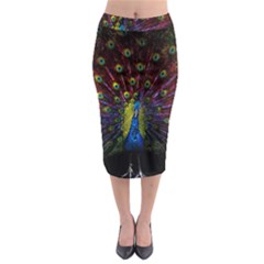 Beautiful Peacock Feather Midi Pencil Skirt by Ket1n9