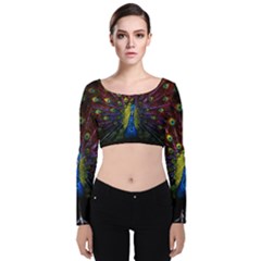 Beautiful Peacock Feather Velvet Long Sleeve Crop Top by Ket1n9