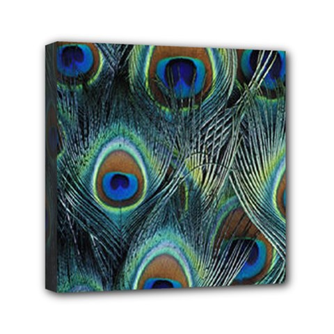 Feathers Art Peacock Sheets Patterns Mini Canvas 6  X 6  (stretched) by Ket1n9