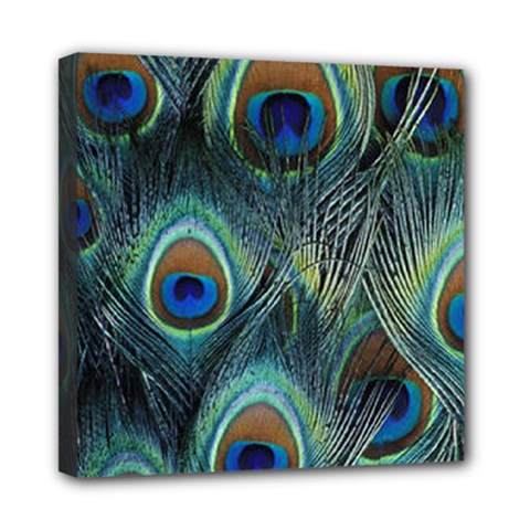 Feathers Art Peacock Sheets Patterns Mini Canvas 8  X 8  (stretched) by Ket1n9