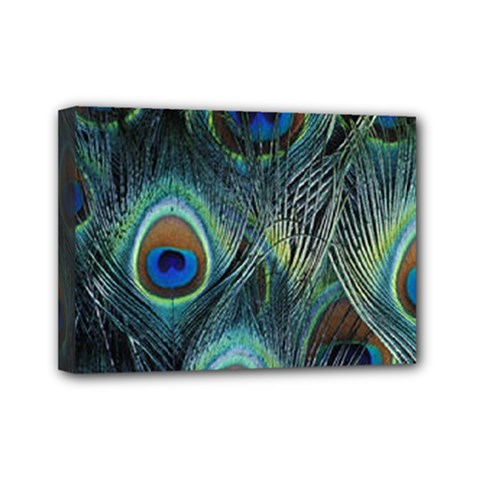 Feathers Art Peacock Sheets Patterns Mini Canvas 7  X 5  (stretched) by Ket1n9