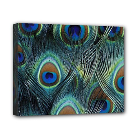 Feathers Art Peacock Sheets Patterns Canvas 10  X 8  (stretched) by Ket1n9