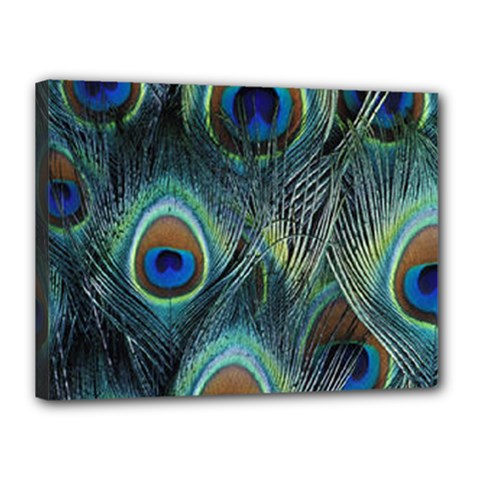 Feathers Art Peacock Sheets Patterns Canvas 16  X 12  (stretched) by Ket1n9