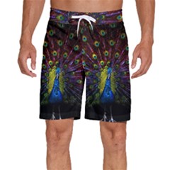 Beautiful Peacock Feather Men s Beach Shorts by Ket1n9