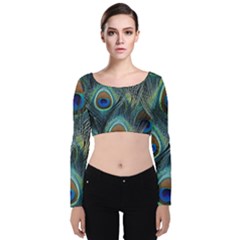 Feathers Art Peacock Sheets Patterns Velvet Long Sleeve Crop Top by Ket1n9