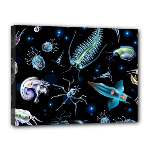 Colorful Abstract Pattern Consisting Glowing Lights Luminescent Images Marine Plankton Dark Backgrou Canvas 16  X 12  (stretched) by Ket1n9