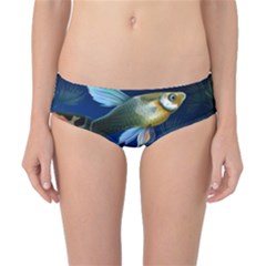 Marine Fishes Classic Bikini Bottoms