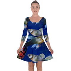 Marine Fishes Quarter Sleeve Skater Dress by Ket1n9