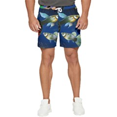 Marine Fishes Men s Runner Shorts by Ket1n9