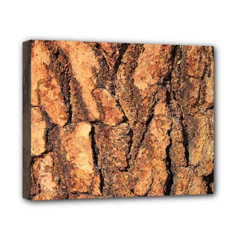 Bark Texture Wood Large Rough Red Wood Outside California Canvas 10  X 8  (stretched) by Ket1n9