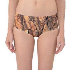 Bark Texture Wood Large Rough Red Wood Outside California Mid-waist Bikini Bottoms by Ket1n9