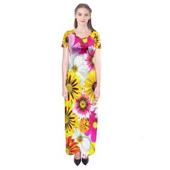 Flowers Blossom Bloom Nature Plant Short Sleeve Maxi Dress by Hannah976