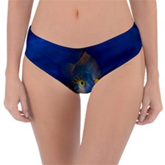 Fish Blue Animal Water Nature Reversible Classic Bikini Bottoms