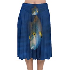 Fish Blue Animal Water Nature Velvet Flared Midi Skirt by Hannah976