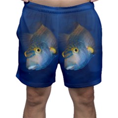 Fish Blue Animal Water Nature Men s Shorts by Hannah976