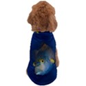 Fish Blue Animal Water Nature Dog T-Shirt View2