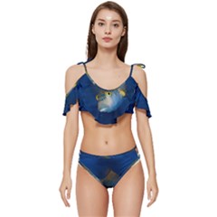 Fish Blue Animal Water Nature Ruffle Edge Tie Up Bikini Set	 by Hannah976