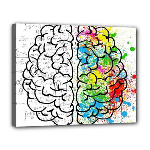 Brain Mind Psychology Idea Drawing Canvas 14  X 11  (stretched) by Ndabl3x