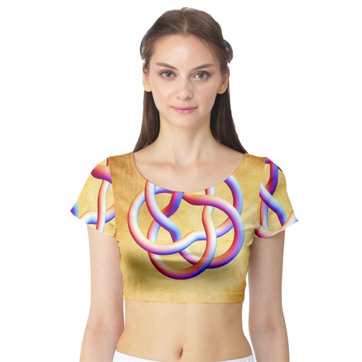 Img 20231205 235101 779 Short Sleeve Crop Top