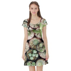 Cactus Nature Plant Desert Short Sleeve Skater Dress by Bedest