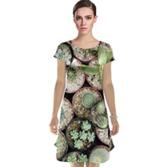 Cactus Nature Plant Desert Cap Sleeve Nightdress by Bedest