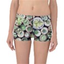 Cactus Nature Plant Desert Reversible Boyleg Bikini Bottoms View1