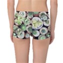 Cactus Nature Plant Desert Reversible Boyleg Bikini Bottoms View2