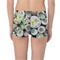 Cactus Nature Plant Desert Reversible Boyleg Bikini Bottoms View4