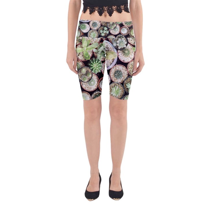 Cactus Nature Plant Desert Yoga Cropped Leggings