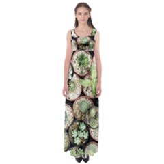 Cactus Nature Plant Desert Empire Waist Maxi Dress by Bedest