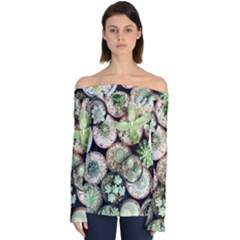 Cactus Nature Plant Desert Off Shoulder Long Sleeve Top by Bedest