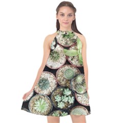 Cactus Nature Plant Desert Halter Neckline Chiffon Dress  by Bedest