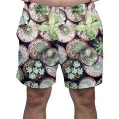 Cactus Nature Plant Desert Men s Shorts by Bedest