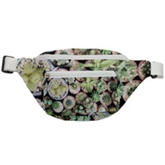 Cactus Nature Plant Desert Fanny Pack by Bedest