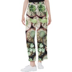 Cactus Nature Plant Desert Women s Pants 