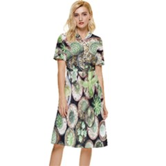 Cactus Nature Plant Desert Button Top Knee Length Dress