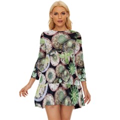 Cactus Nature Plant Desert Long Sleeve Babydoll Dress by Bedest