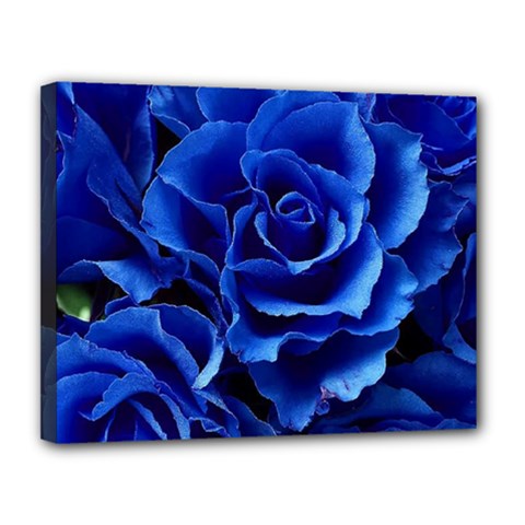 Blue Roses Flowers Plant Romance Blossom Bloom Nature Flora Petals Canvas 14  X 11  (stretched) by Bedest