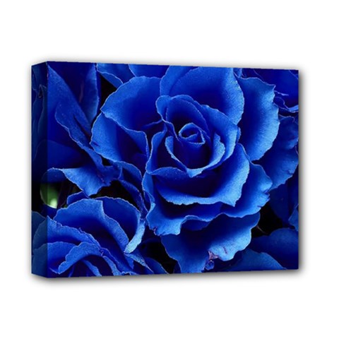 Blue Roses Flowers Plant Romance Blossom Bloom Nature Flora Petals Deluxe Canvas 14  X 11  (stretched) by Bedest